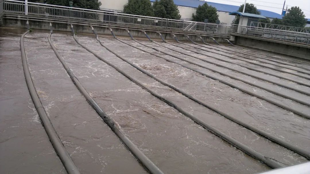 64783395eb282.jpg 64783395eb282.jpg